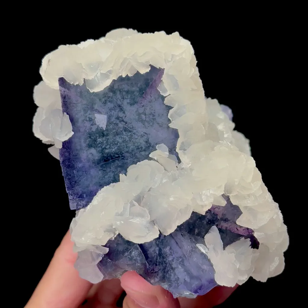 specimen video