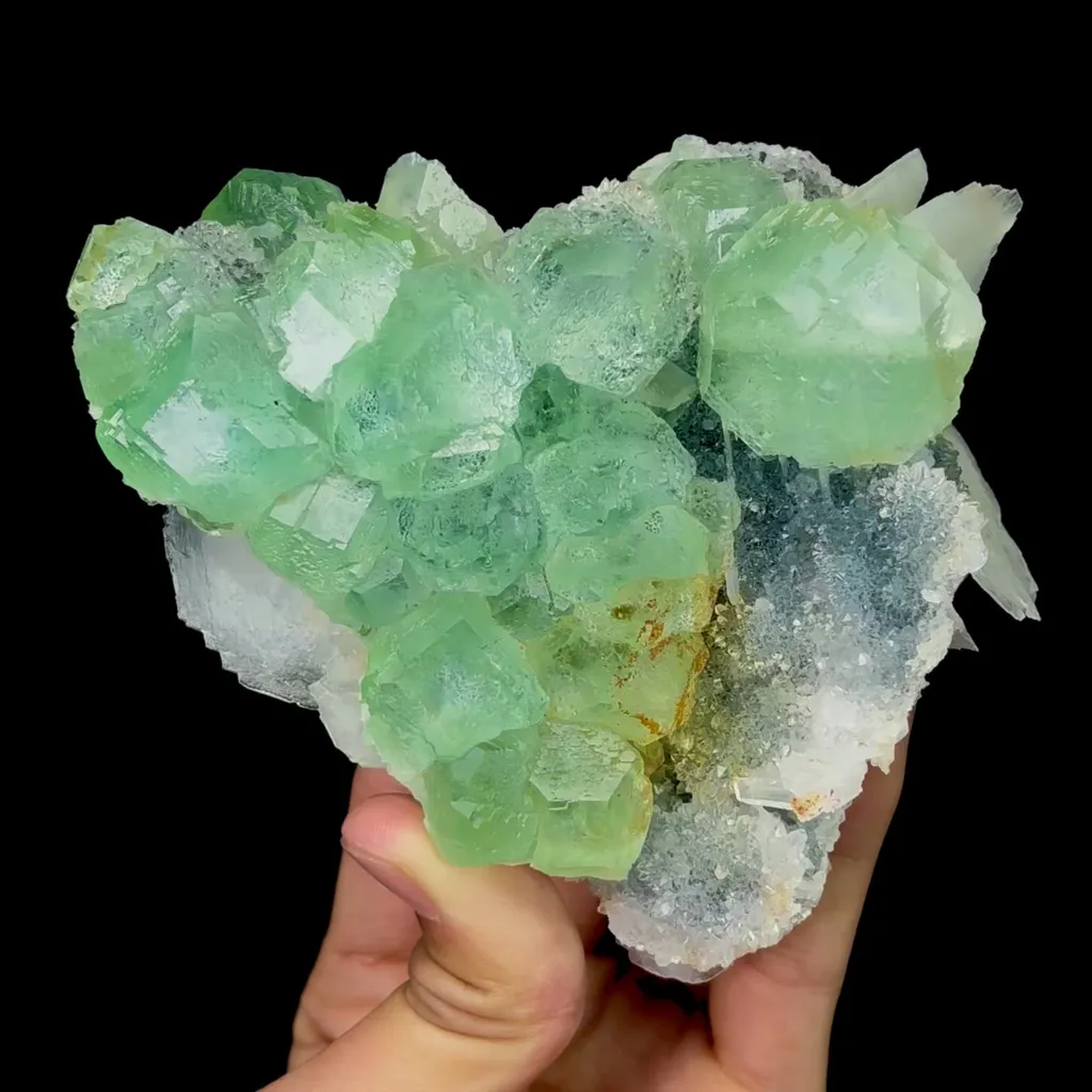 specimen video