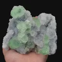 specimen video