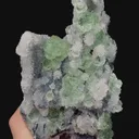 specimen video