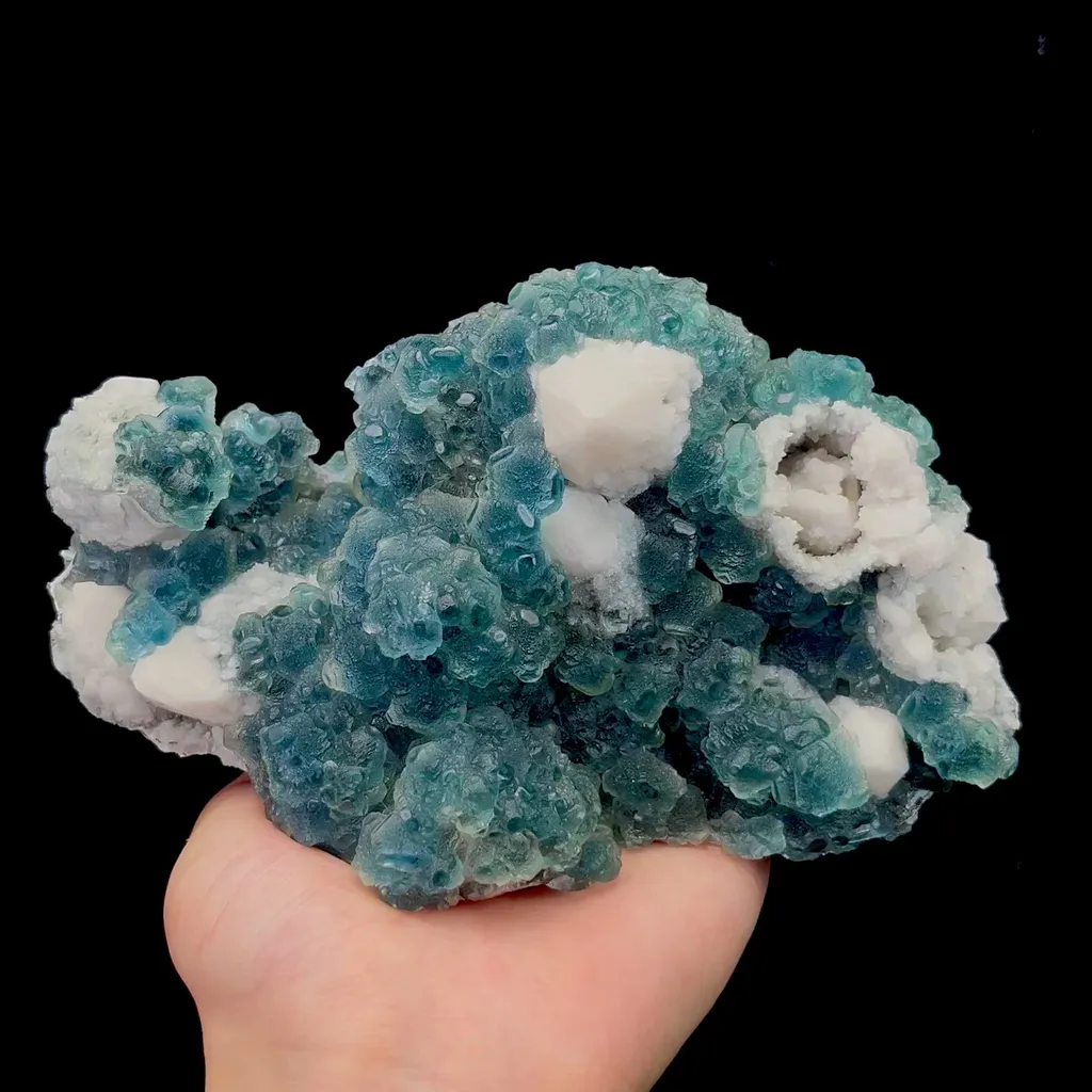 specimen video