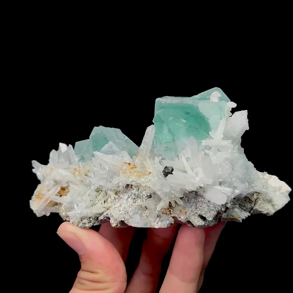 specimen video