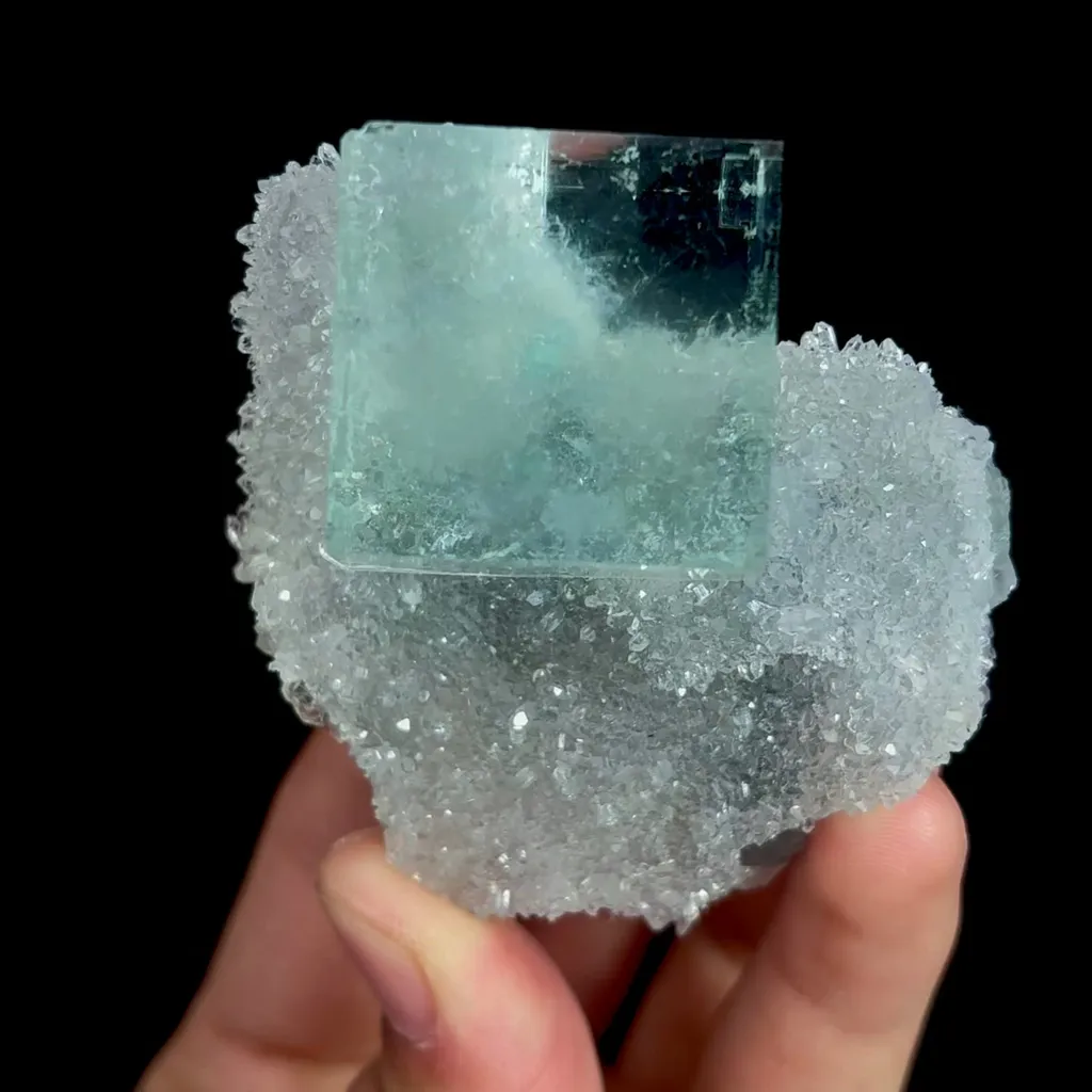 specimen video
