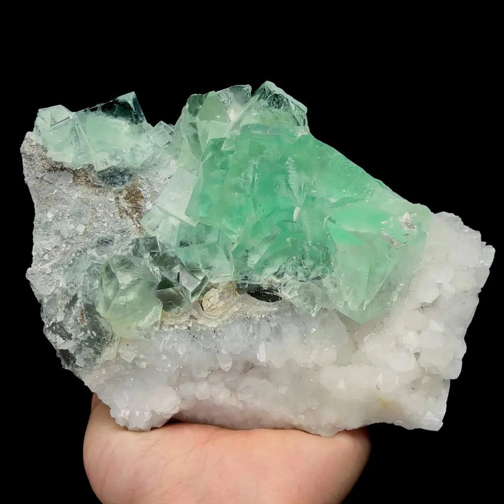 specimen video