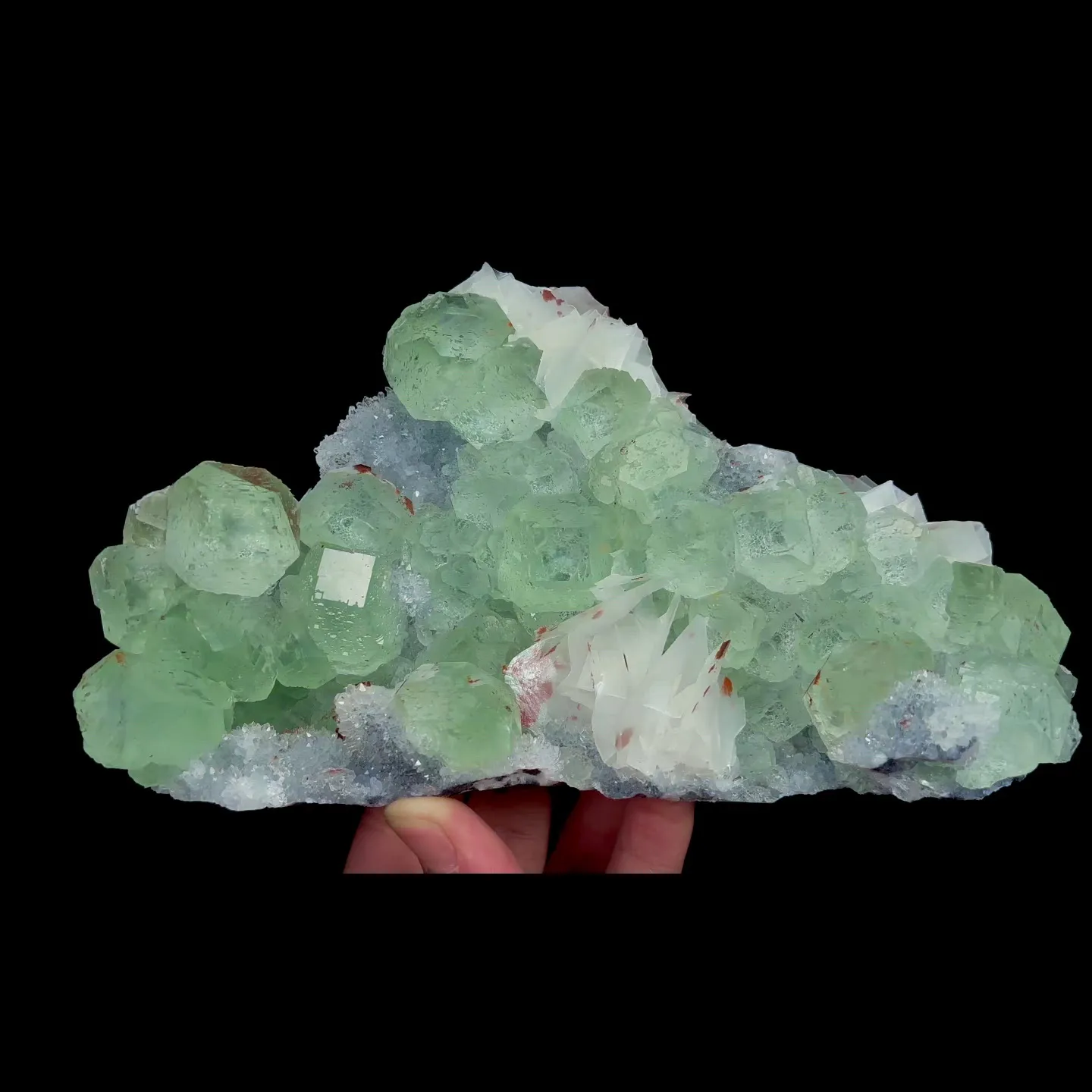 specimen video