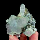 specimen video