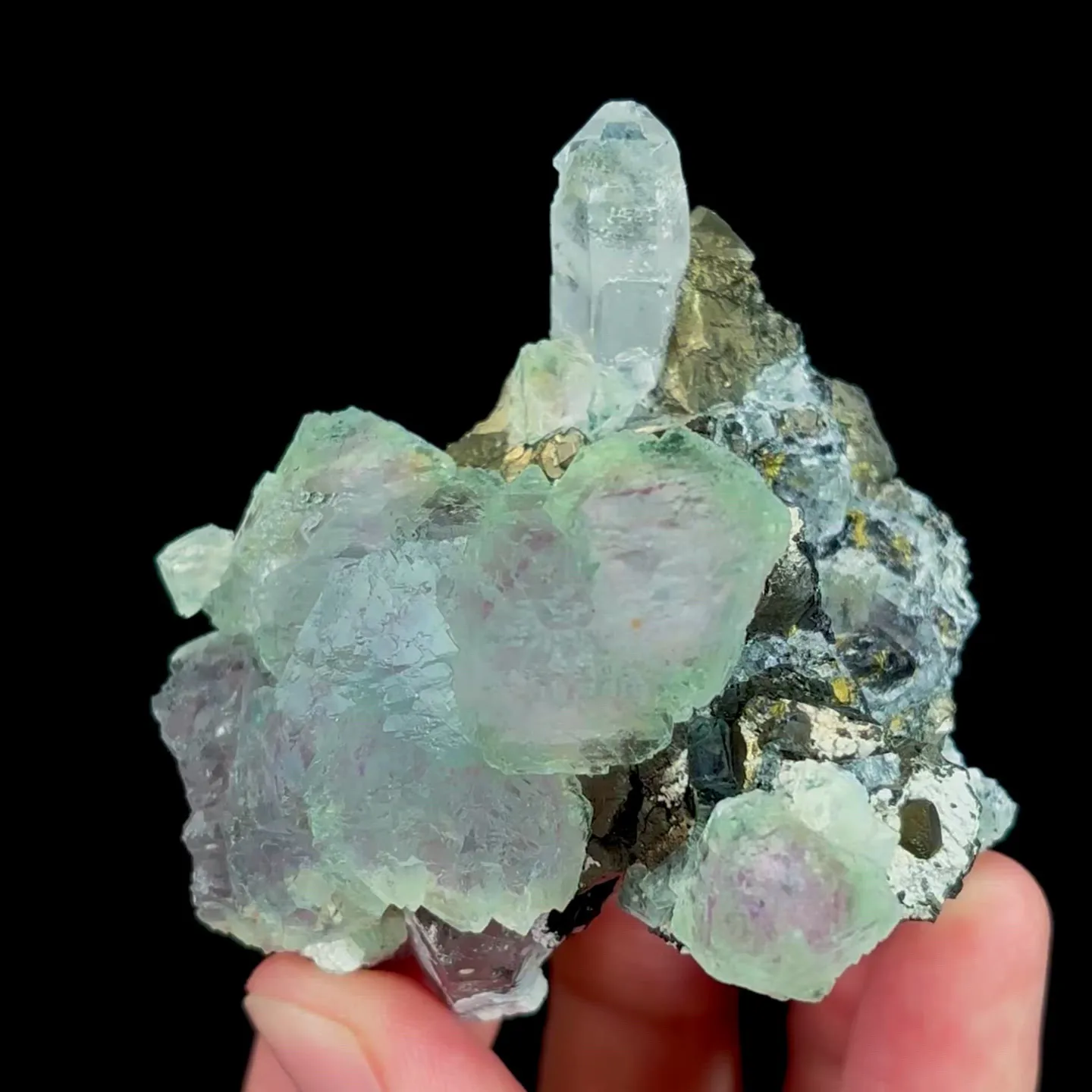 specimen video