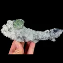 specimen video