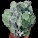specimen video
