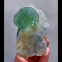 specimen video