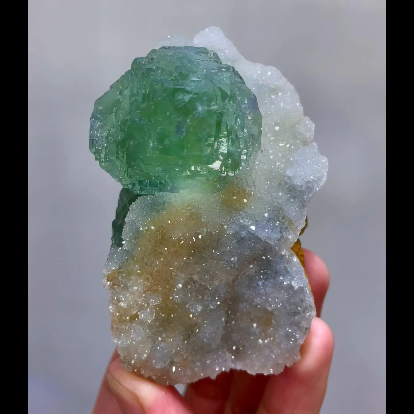 specimen video