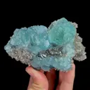 specimen video