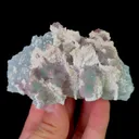 specimen video