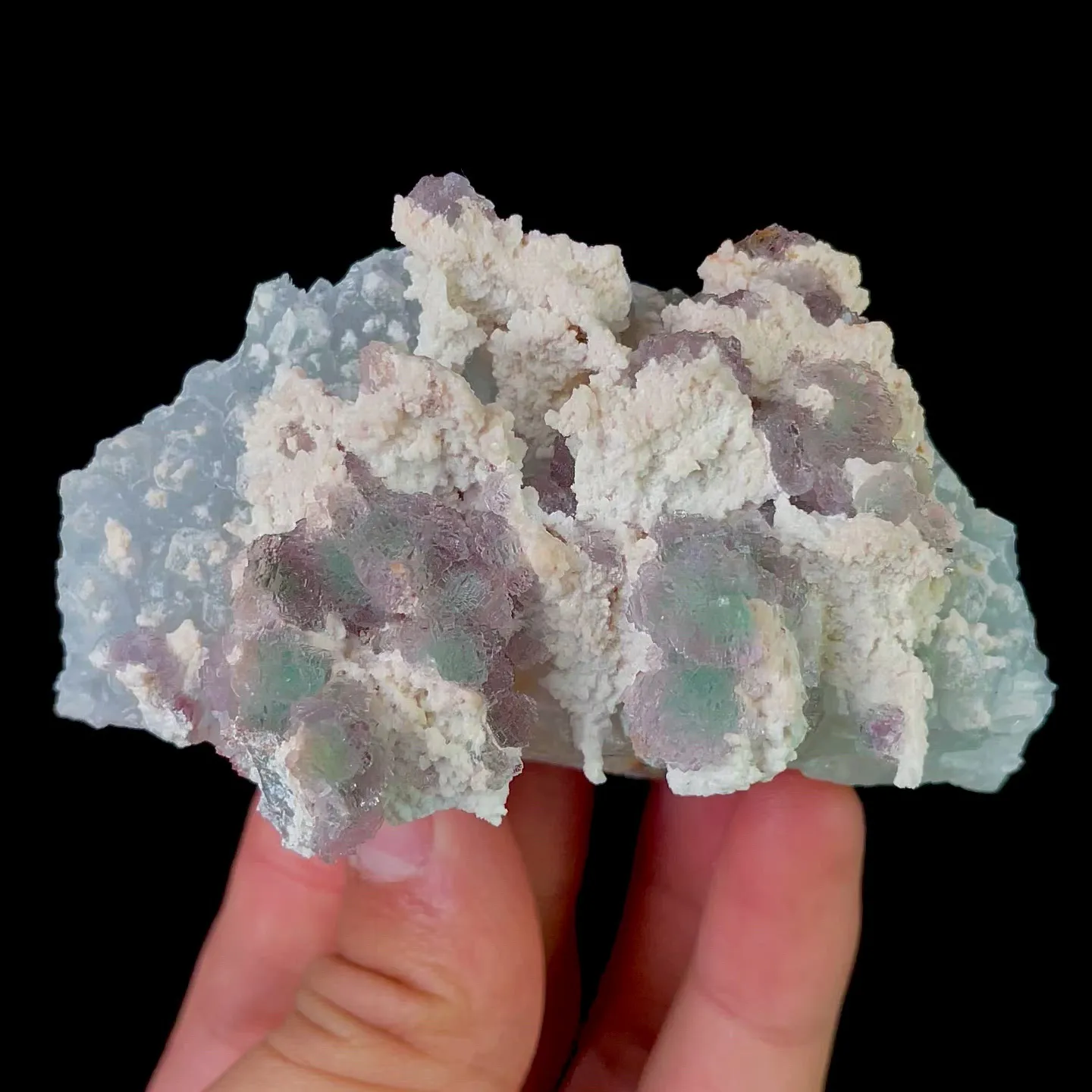 specimen video