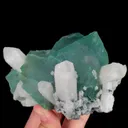 specimen video