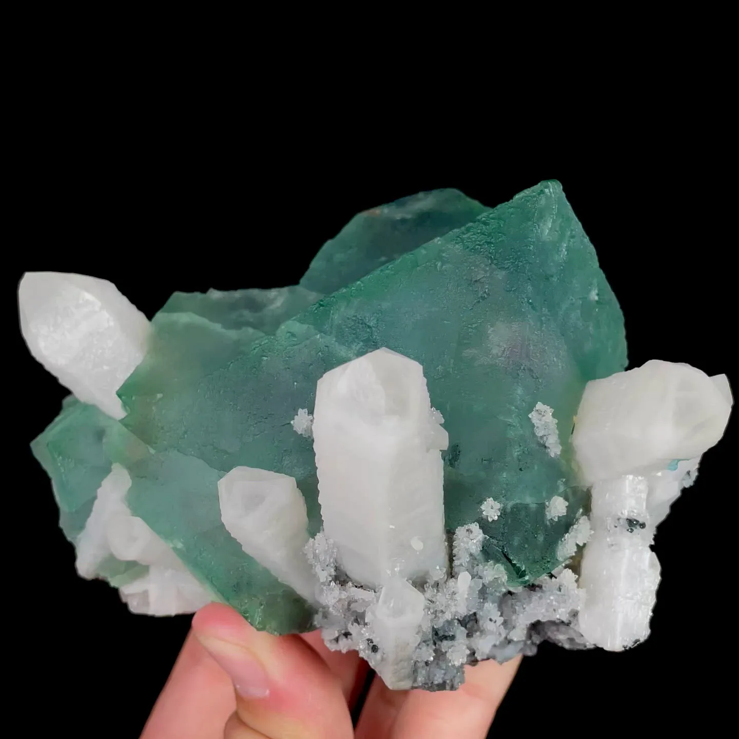 specimen video