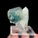 specimen video