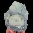 specimen video