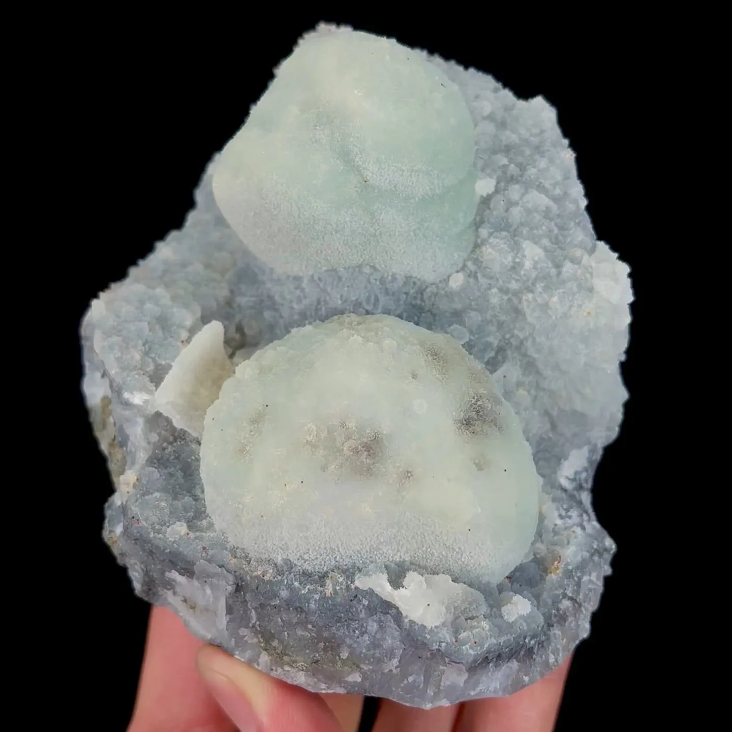 specimen video