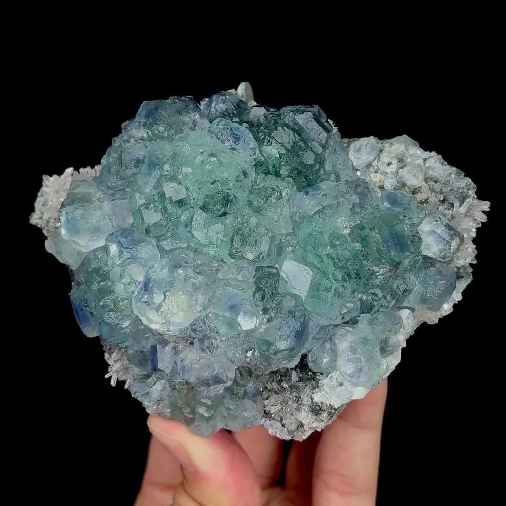 specimen video