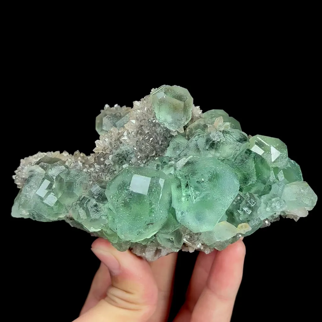 specimen video