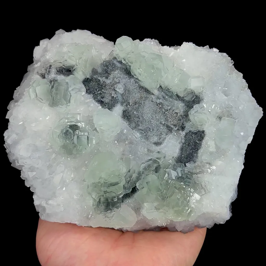 specimen video