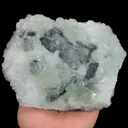 specimen video