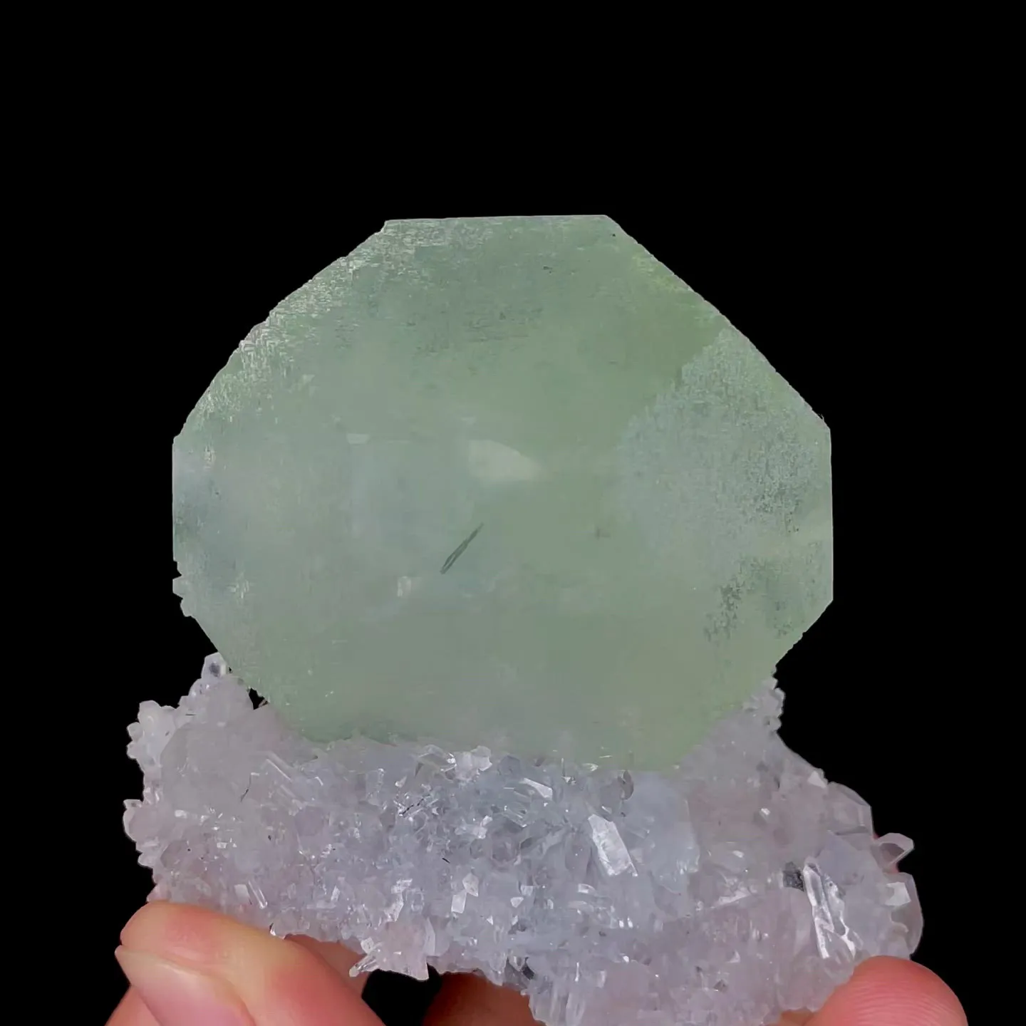specimen video