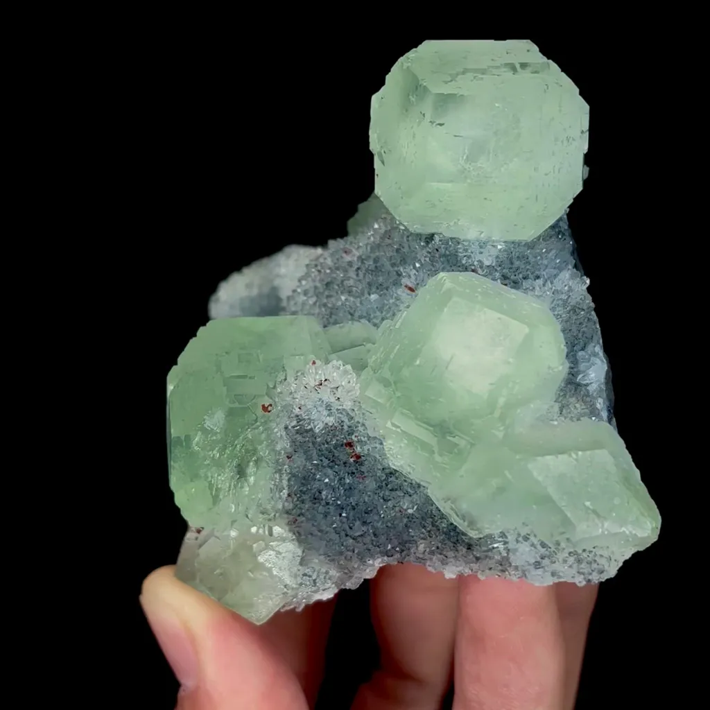 specimen video