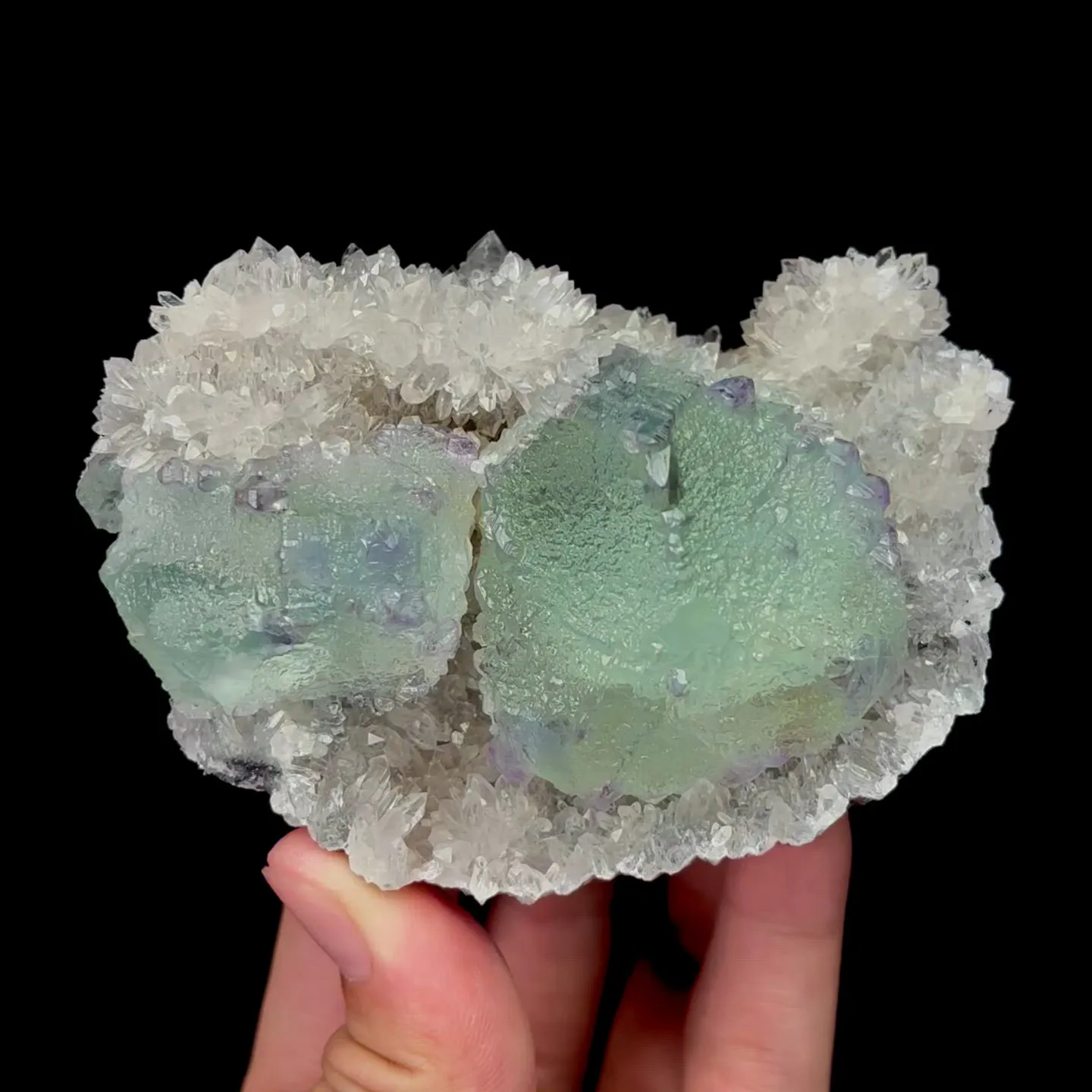 specimen video