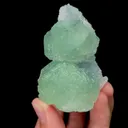 specimen video