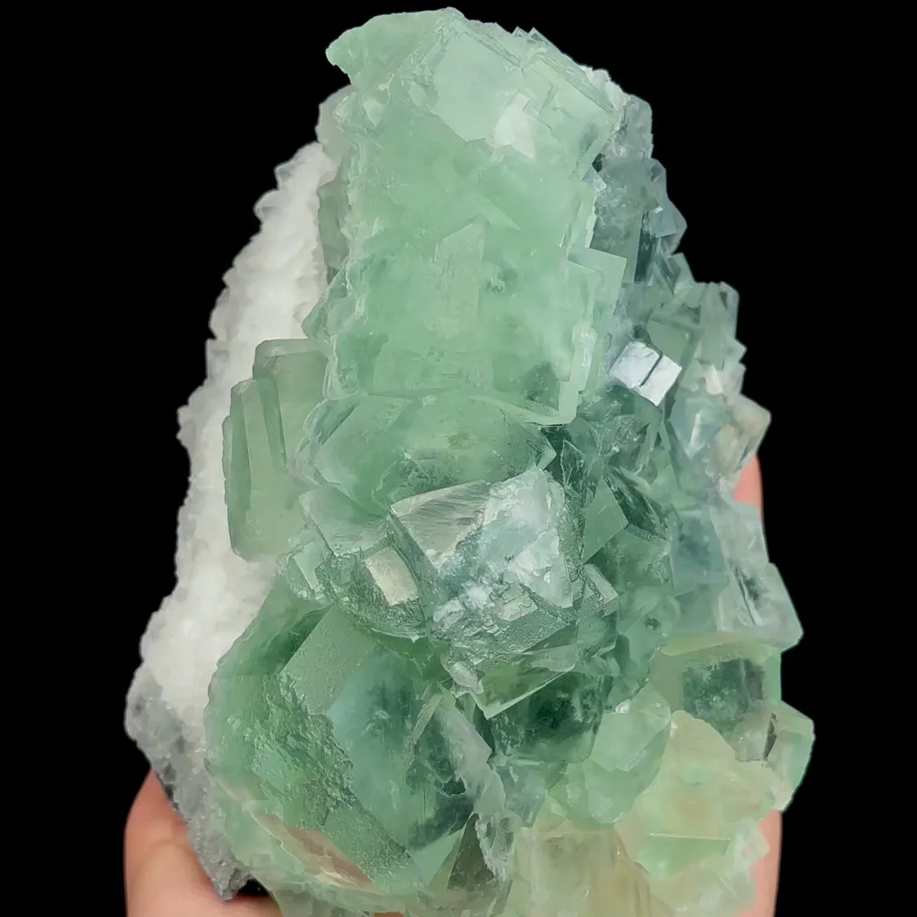 specimen video