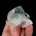 specimen video