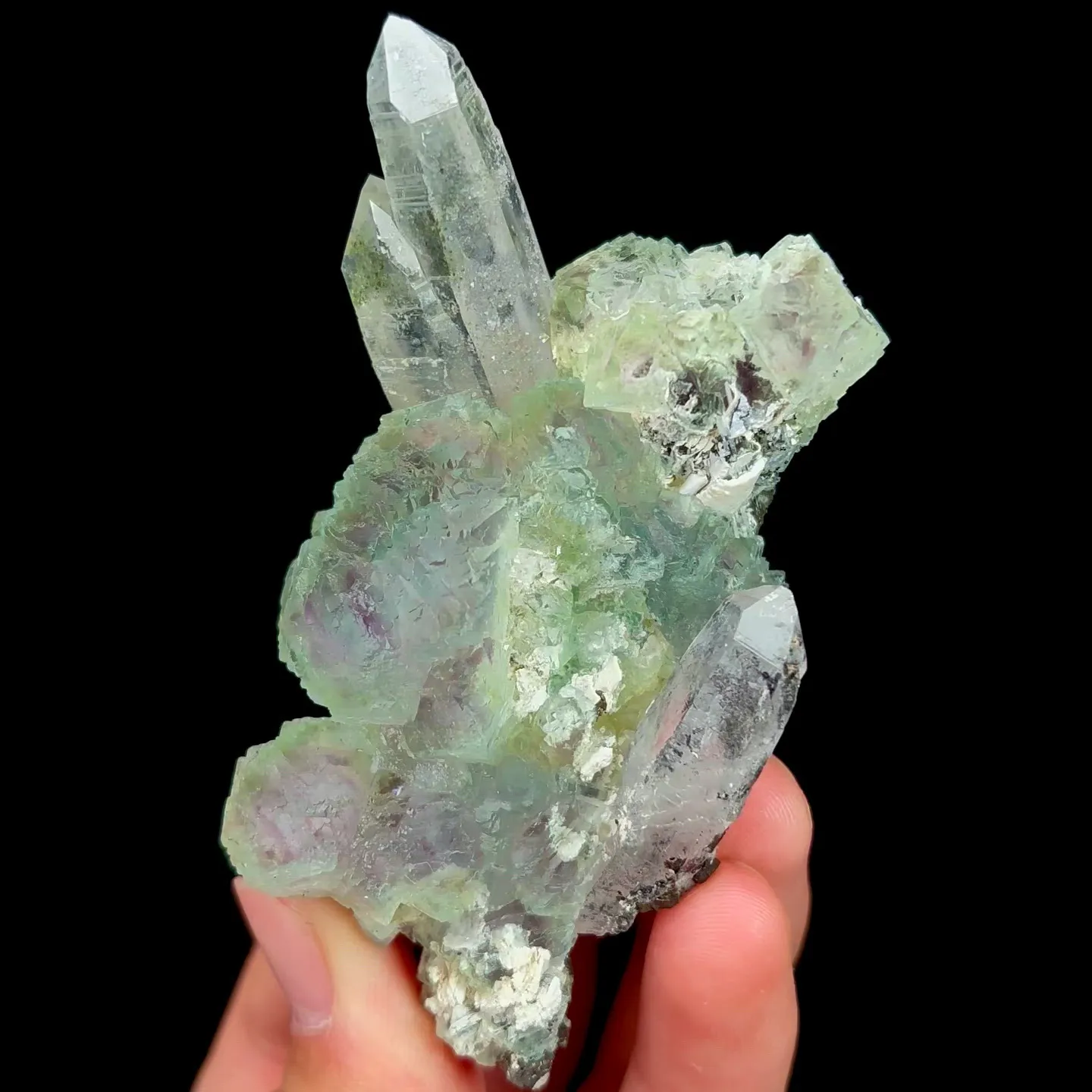 specimen video