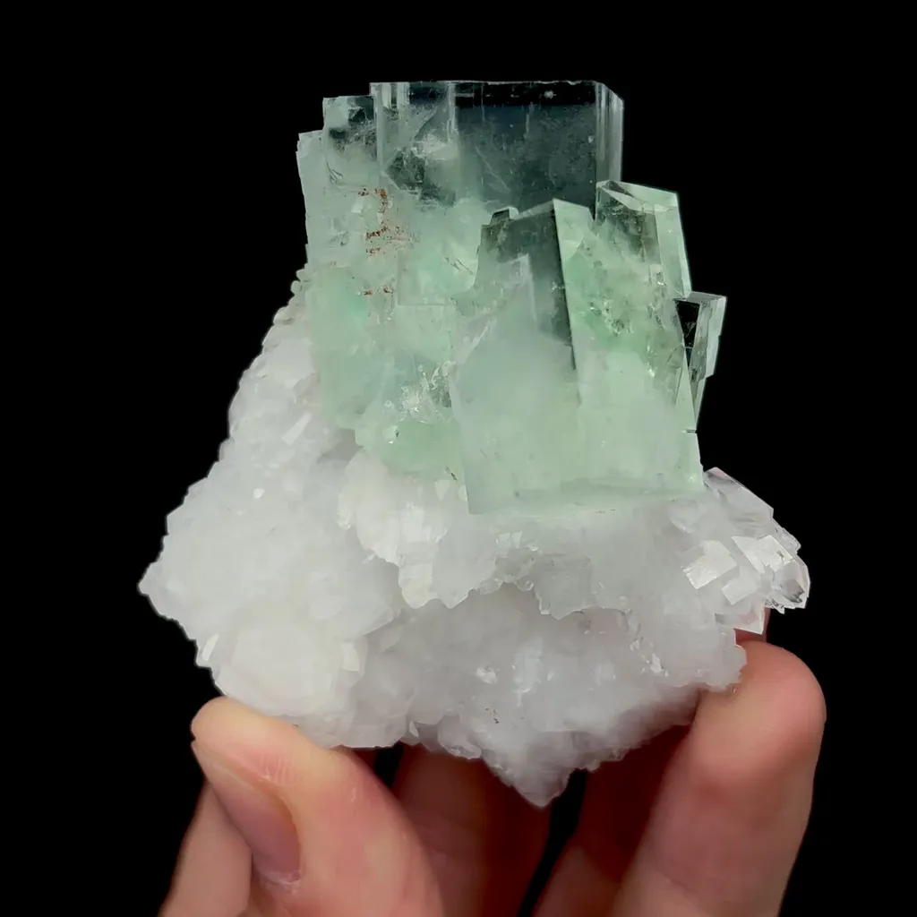 specimen video