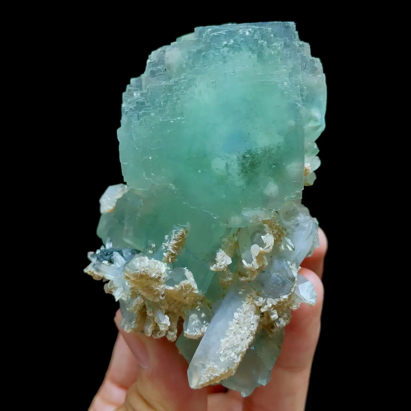 specimen video