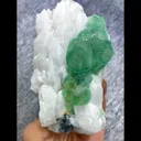 specimen video