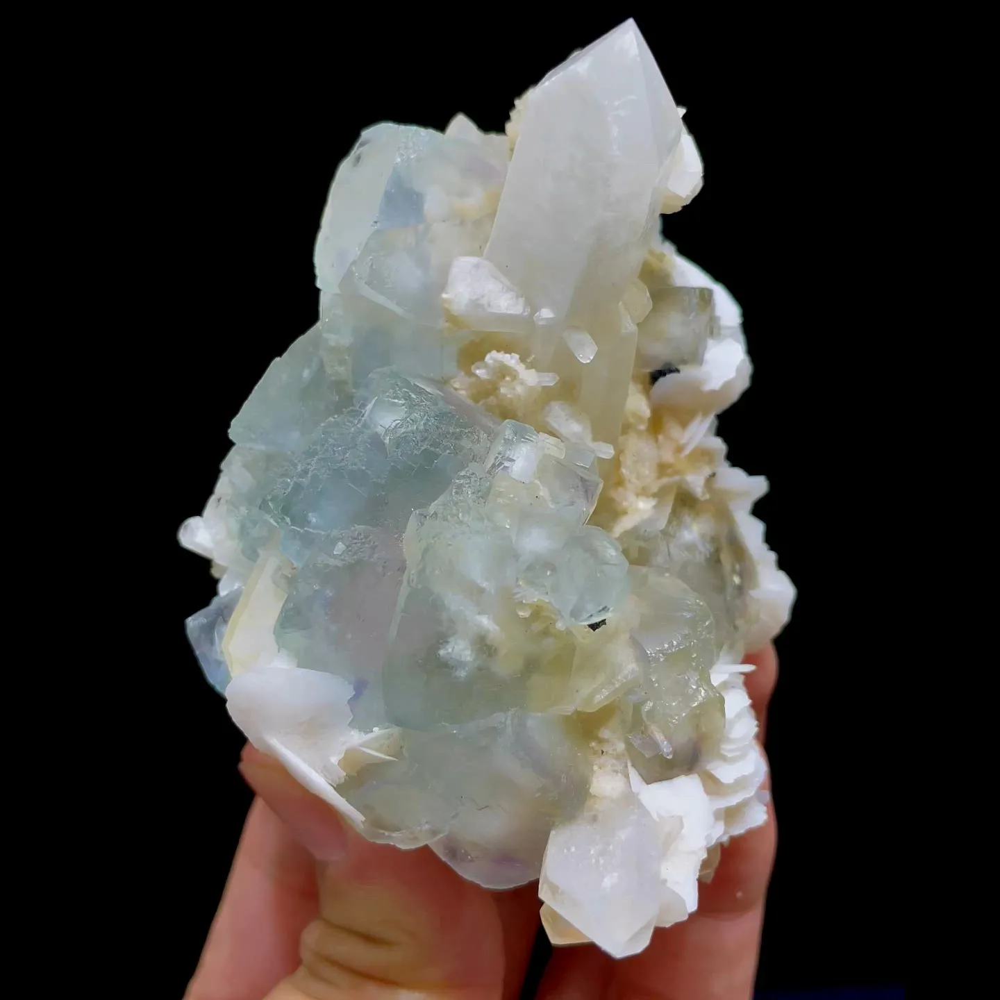 specimen video