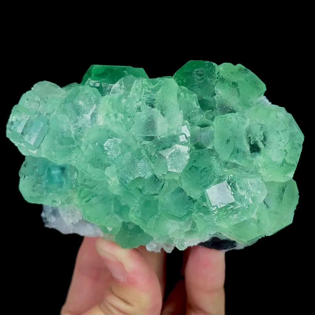specimen video