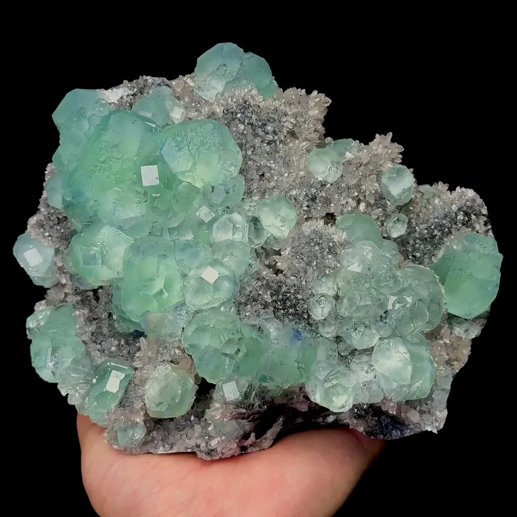 specimen video