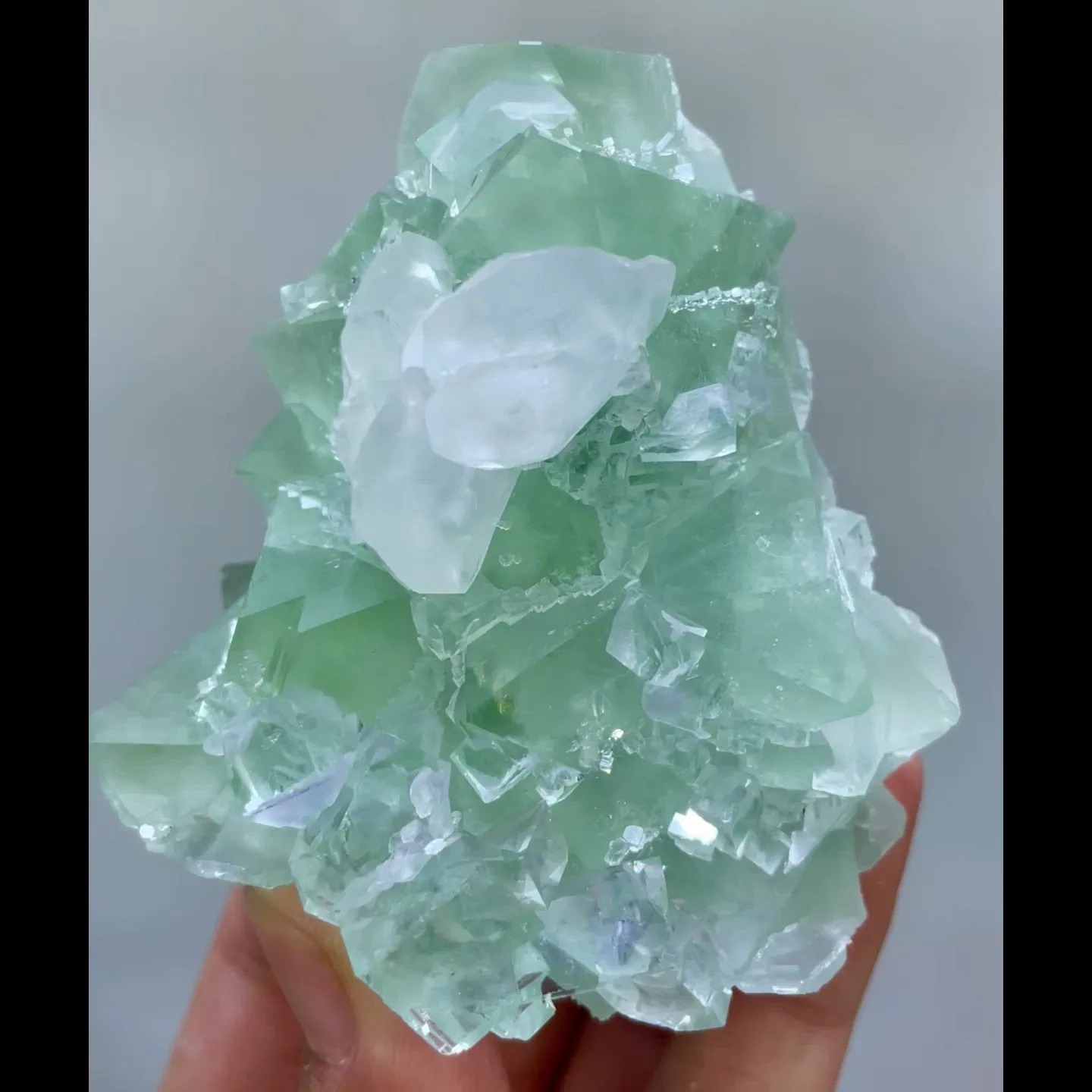specimen video