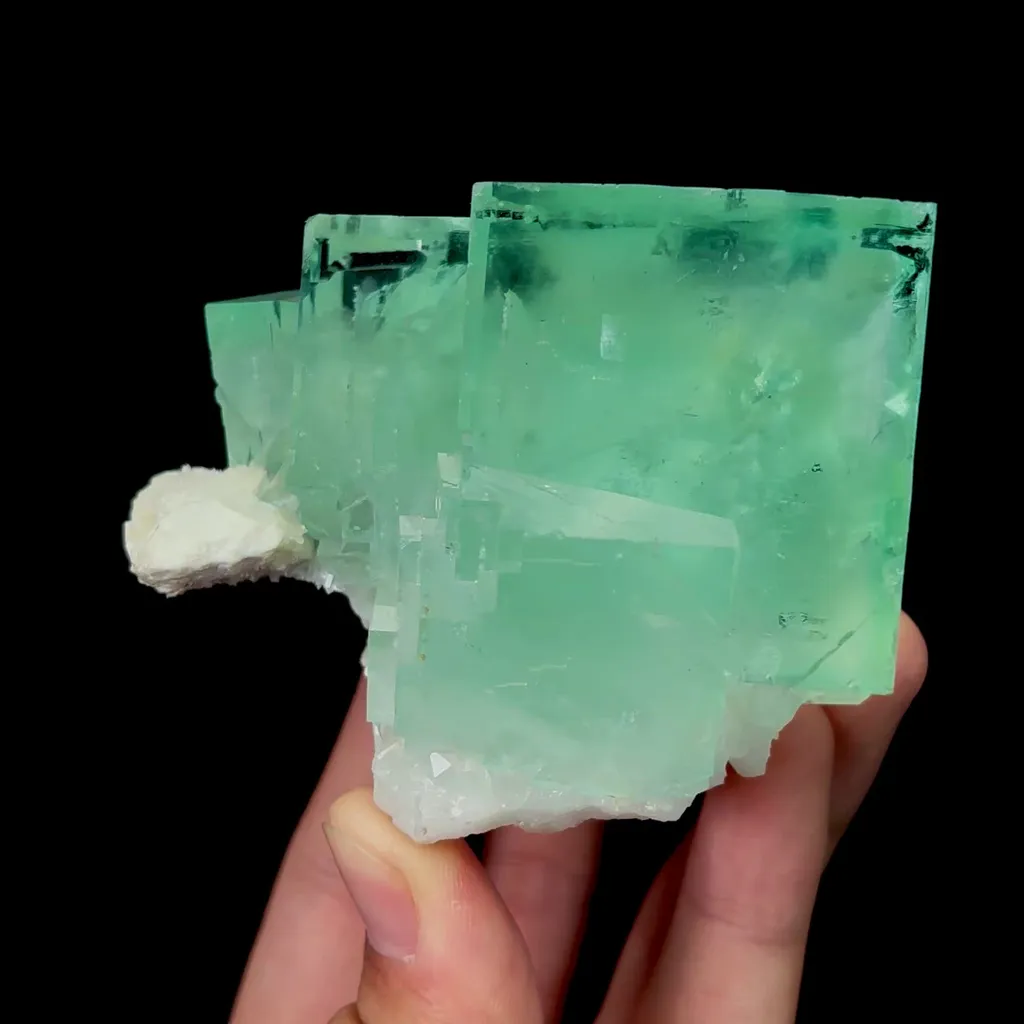specimen video