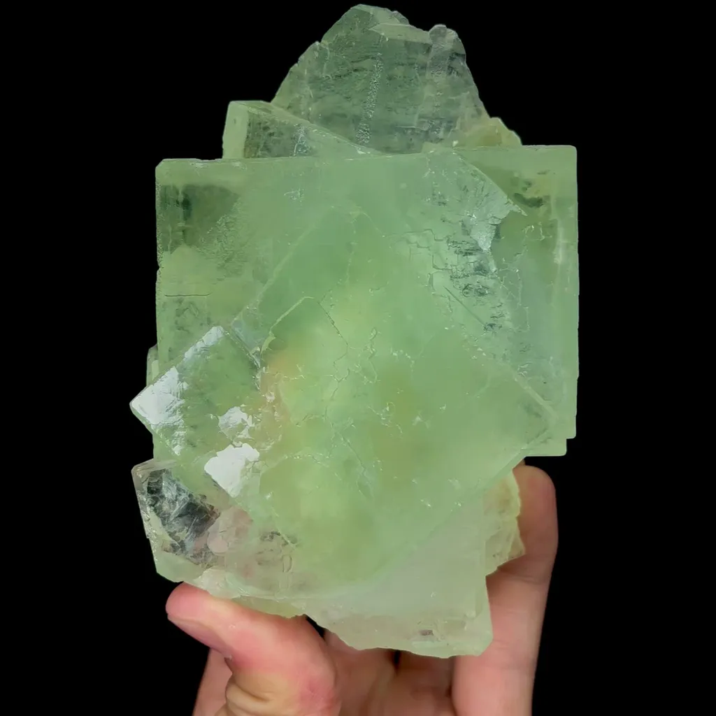 specimen video