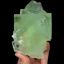 specimen video