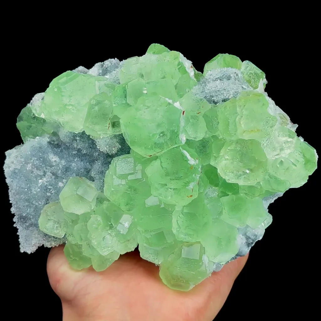 specimen video