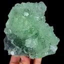 specimen video