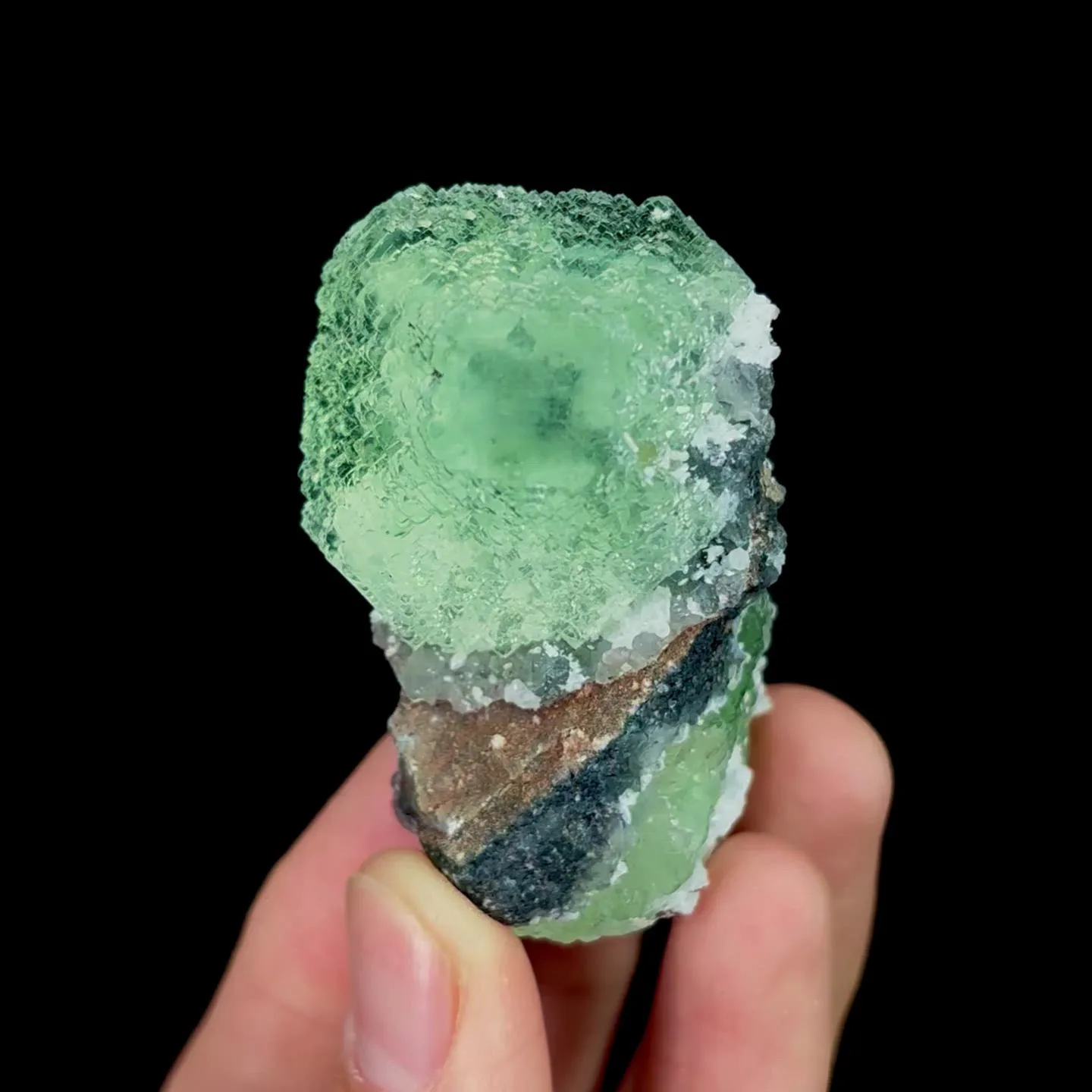 specimen video