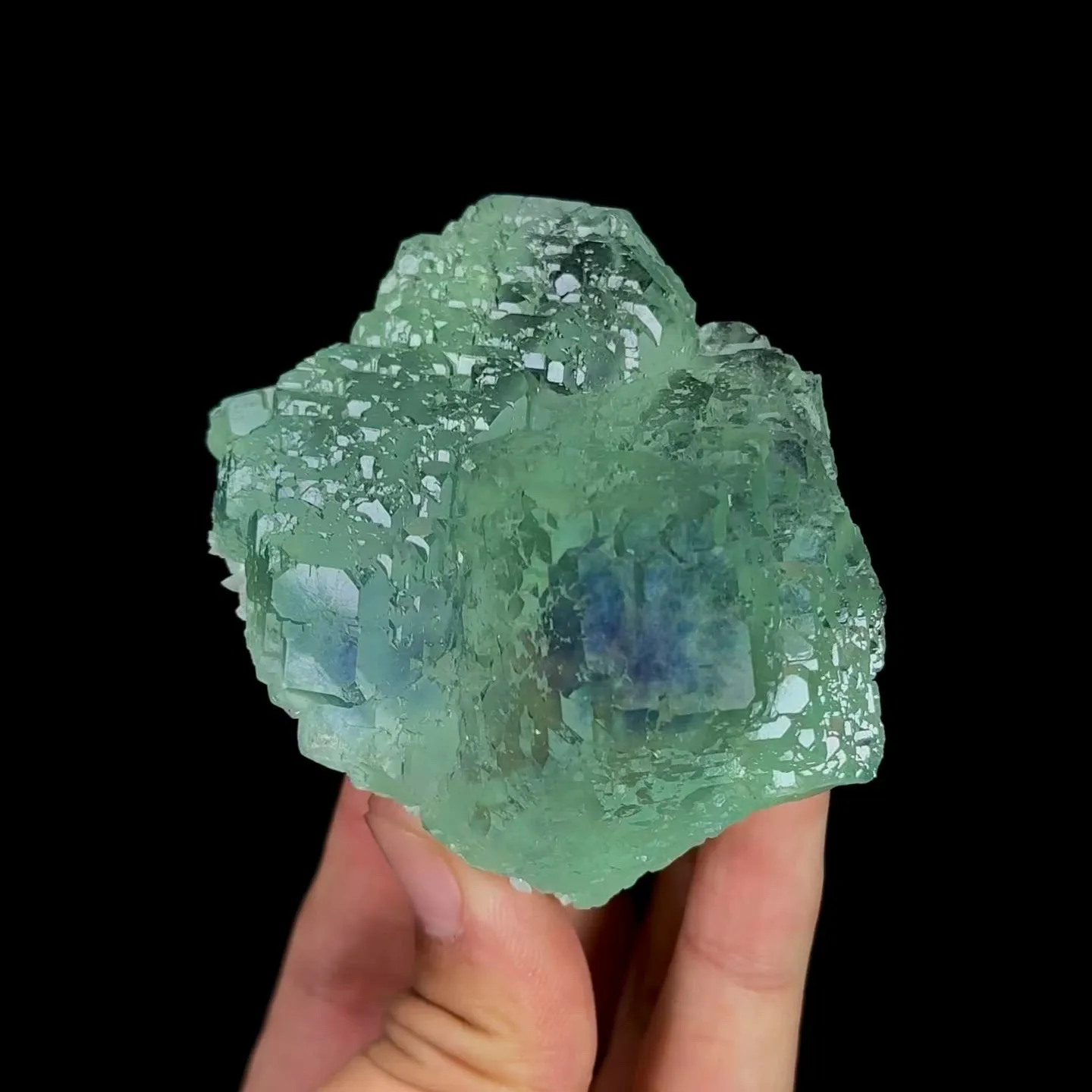 specimen video
