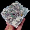 specimen video