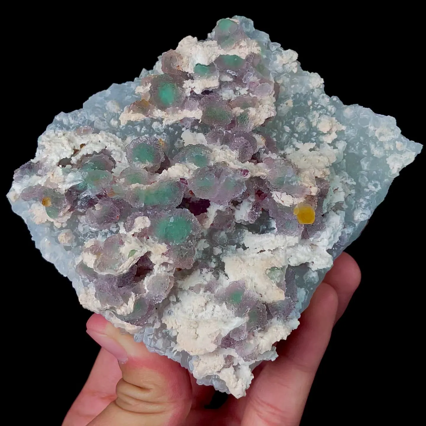 specimen video